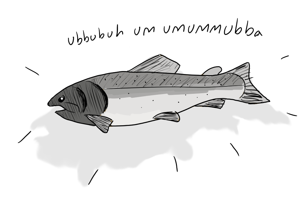 fish.png